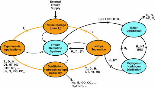 Flow diagram of TLK